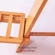 Observing Chair