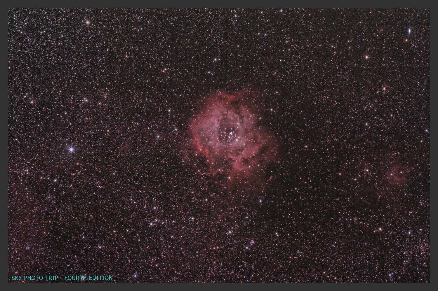 Rosette-Nebula